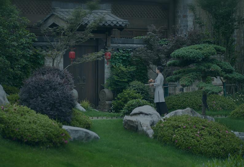 �����ù�Ϊʲô����������ϲ������