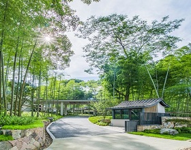 ̽Ѱ�ݻ����徲�ķ����ù�֮��